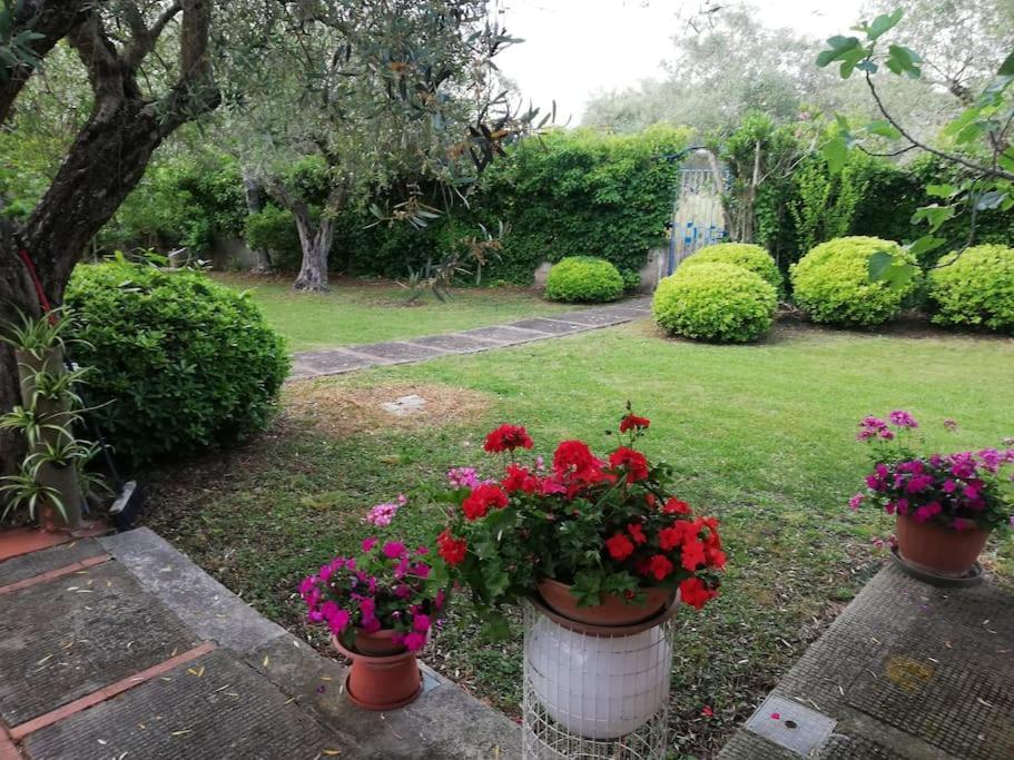 Villa Brezza Capaccio Εξωτερικό φωτογραφία