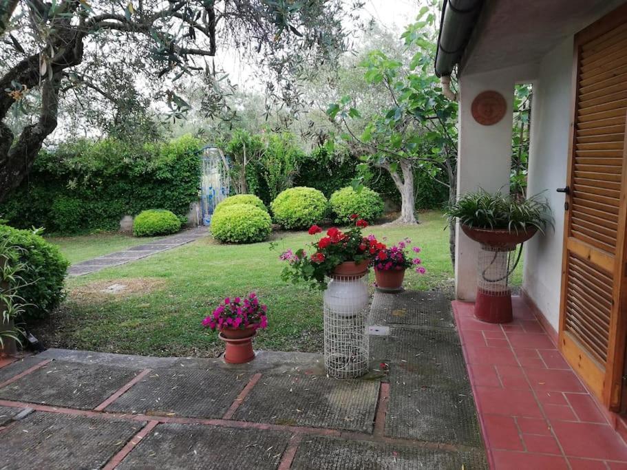 Villa Brezza Capaccio Εξωτερικό φωτογραφία